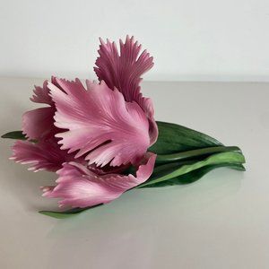 The Parrot Tulip Flower 1985 National Horticultural Society Porcelain Figurine